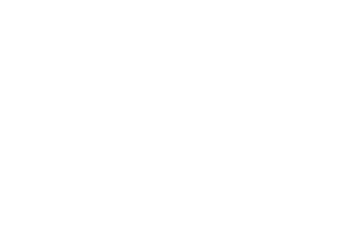 Miller Insurance Protection Team - Logo 500 White